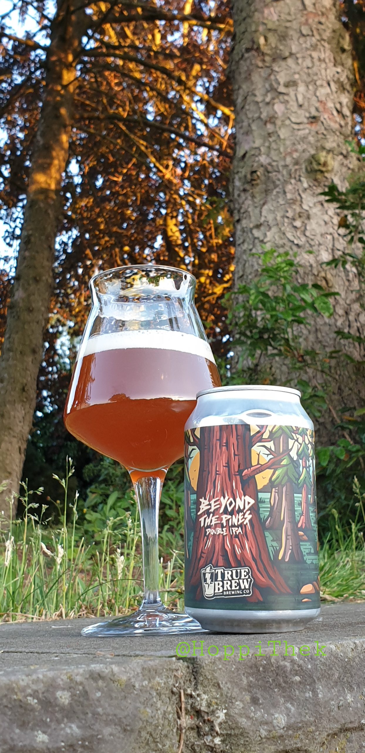 True Brew - Beyond the pines
